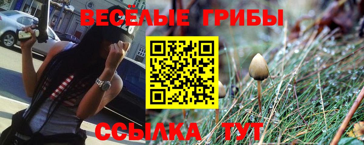 Псилоцибиновые грибы ЛСД Бердск
