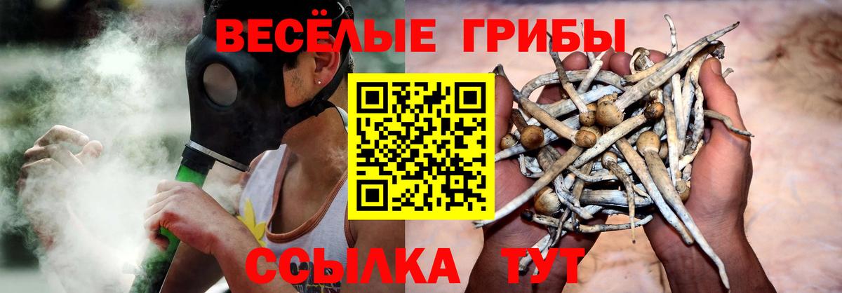 сколько стоит  Галлюциногенные грибы прущие грибы  Бердск  Вход с VPN  Псилоцибиновые грибы Magic Shrooms 
